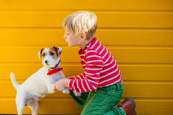 Voelt zich blij als dalmatian hond ruikt haar en toont devotie — Stockfoto