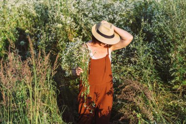 Orta yaşlı kızıl saçlı kadın tarladan papatya çiçeği topluyor. Çayırda yaşlı bir kadın ve yaz günü çiçek buketi topluyor. Baharda dışarıda vakit geçirmek..