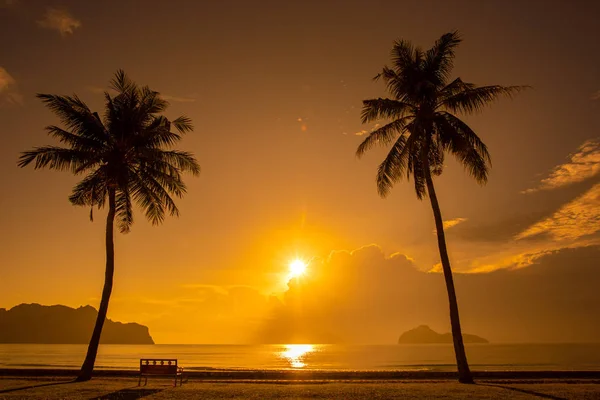 Silhouette Palma da Cocco con una panchina in spiaggia — Foto Stock