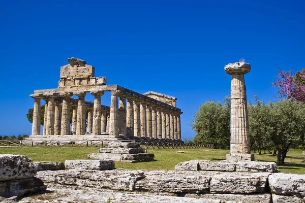 Athena tempel, Paestum — Stockfoto