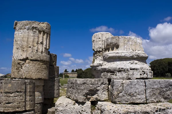 Athénský chrám, Paestum — Stock fotografie