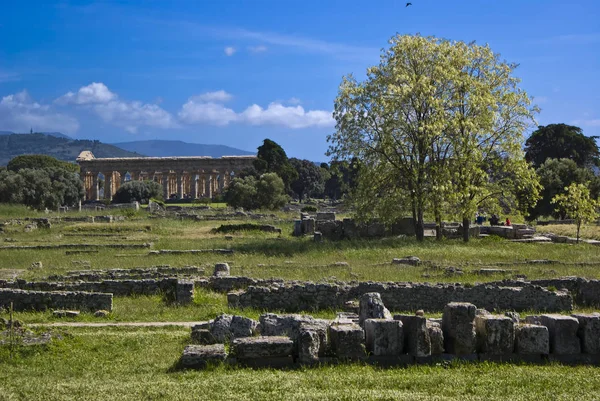 Temple of Neptune, Paestum — Stock Photo, Image