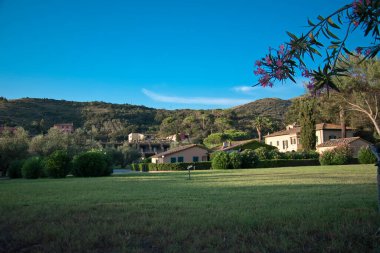 Güzel yeşil bir parktaki bazı dairelerin manzarası.