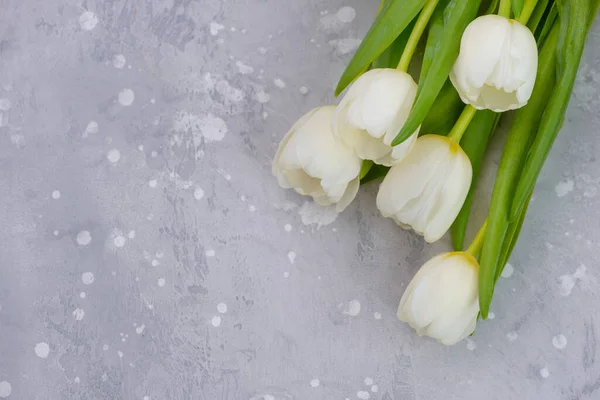 Holiday Flowers Banner Białe Tulipany Kopią Miejsca Pozdrowienia — Zdjęcie stockowe