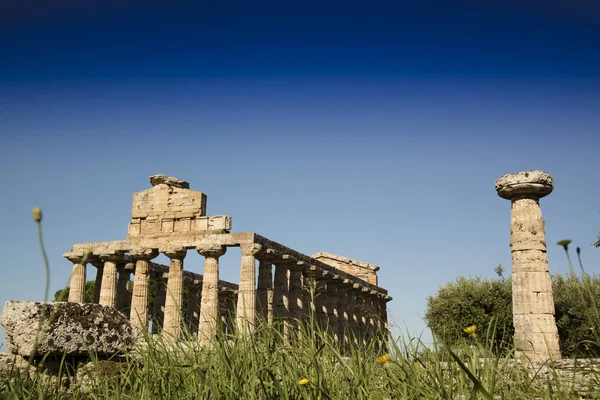 Ruínas Antigas Paestum Italy Remanesce Dos Edifícios Religiosos Dominação Grega — Fotografia de Stock