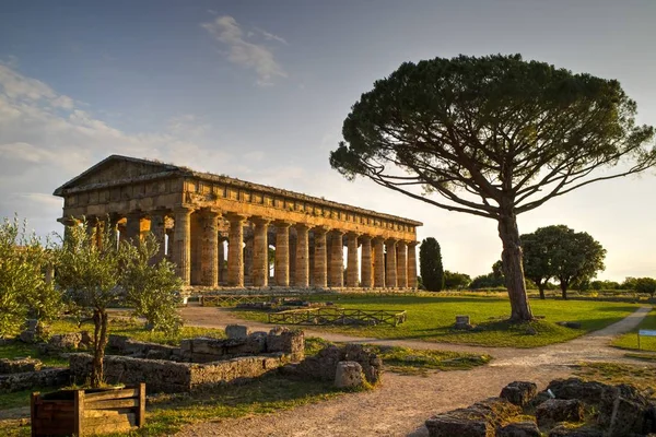 Ruiny Starożytnych Pozostałości Budowli Religijnych Starożytnej Greckiej Dominacji Paestum Włochy — Zdjęcie stockowe