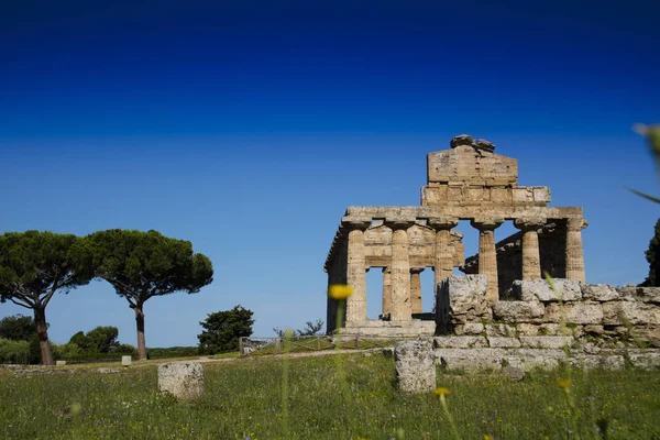 Αρχαία Ερείπια Της Ιταλίας Paestum Απομεινάρια Θρησκευτικών Κτιρίων Της Αρχαίας — Φωτογραφία Αρχείου