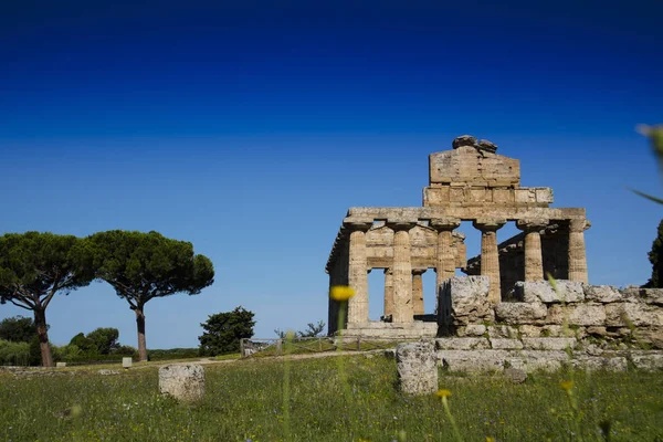 Las Ruinas Antiguas Paestum Italia Restos Edificios Religiosos Antigua Dominación — Foto de Stock