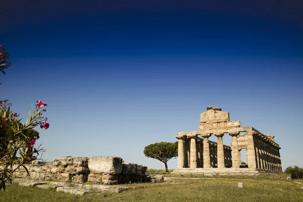 Αρχαία Ερείπια Της Ιταλίας Paestum Απομεινάρια Θρησκευτικών Κτιρίων Της Αρχαίας — Φωτογραφία Αρχείου