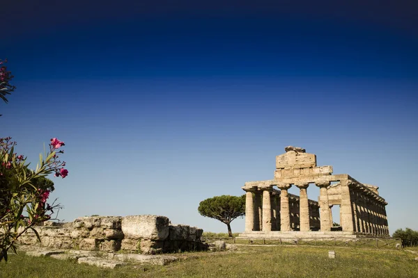 Ruínas Antigas Paestum Italy Remanesce Dos Edifícios Religiosos Dominação Grega — Fotografia de Stock