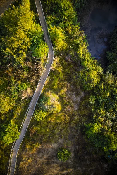 Blick Von Der Drohne Auf Eine Route Die Von Menschen — kostenloses Stockfoto