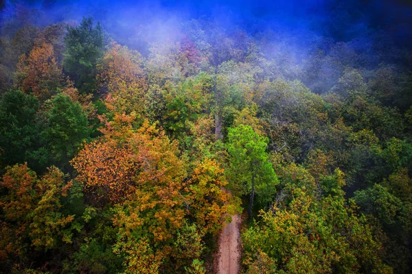 Вид Зверху Лісисту Місцевість Повну Осіннього Сезону — стокове фото