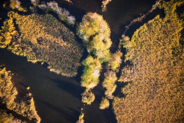 Sonbahar sezonu Porta Versilia göl İtalya'nın bataklık çevrenin havadan görünümü.