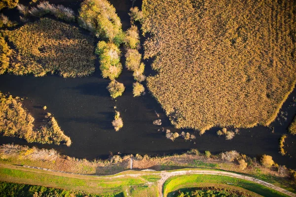 Vedere Aeriană Zonei Mlăștinoase Lacului Porta Versilia Italia Sezonul Toamnă — Fotografie, imagine de stoc