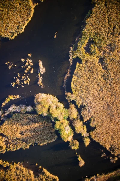 Letecký Pohled Bažinaté Oblasti Itálie Jezero Porta Versilia Podzimní Sezóně — Stock fotografie