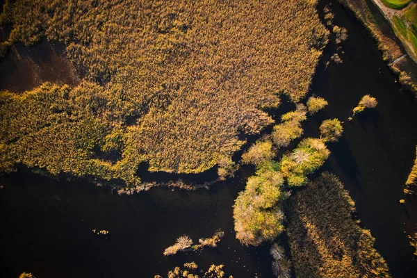 Vedere Aeriană Zonei Mlăștinoase Lacului Porta Versilia Italia Sezonul Toamnă — Fotografie, imagine de stoc