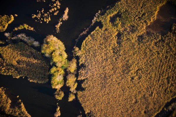 Vedere Aeriană Zonei Mlăștinoase Lacului Porta Versilia Italia Sezonul Toamnă — Fotografie, imagine de stoc