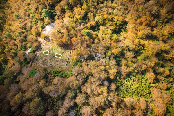 Bovenaanzicht Van Een Kleine Groep Van Bomen Volledige Herfst Seizoen — Gratis stockfoto