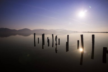 Torre Del Lago Puccini İtalya Toskana Gölü Massaciuccoli kıyısında