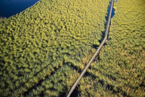 Vista Aérea Una Zona Pantanosa Cerca Viareggio Toscana — Foto de stock gratis