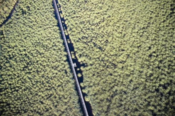 Luchtfoto Van Een Moerassige Gebied Buurt Van Viareggio Toscane — Gratis stockfoto