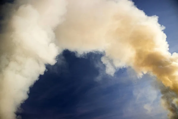 Columna Humo Intenso Causado Por Incendio Forestal —  Fotos de Stock