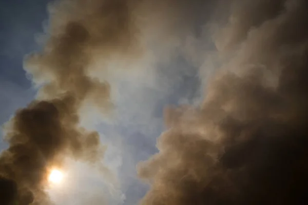 Column Intense Smoke Caused Forest Fire — Stock Photo, Image