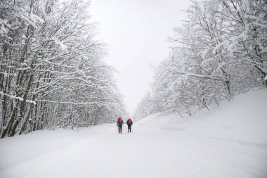 Kışın Karayak boyunca ormanda tamamen batık yolları