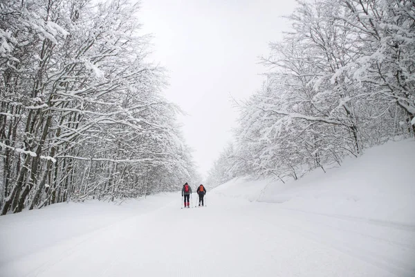 Kışın Karayak boyunca ormanda tamamen batık yolları
