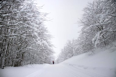 Kışın Karayak boyunca ormanda tamamen batık yolları