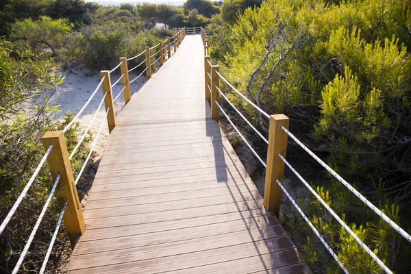 Path Designed Perception People Pram — Stock Photo, Image