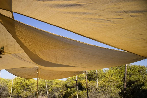 Punto Protegido Luz Solar Con Uso Cortinas Oblicuas — Foto de Stock