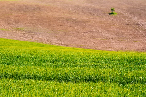 A paisagem rural da Toscana — Fotografia de Stock