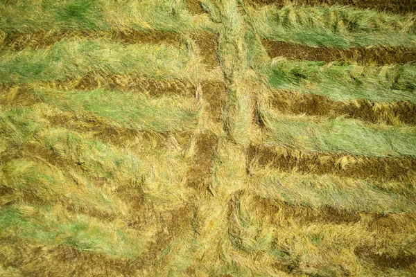 Высушить сено в открытом поле — стоковое фото