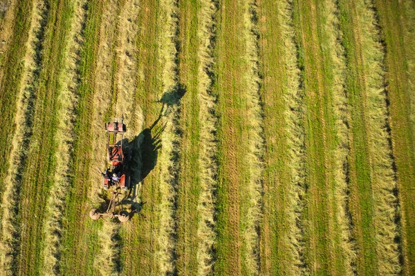 Secar el heno en el campo abierto — Foto de Stock