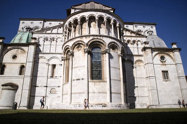 San Martino Lucca-katedralen – stockfoto