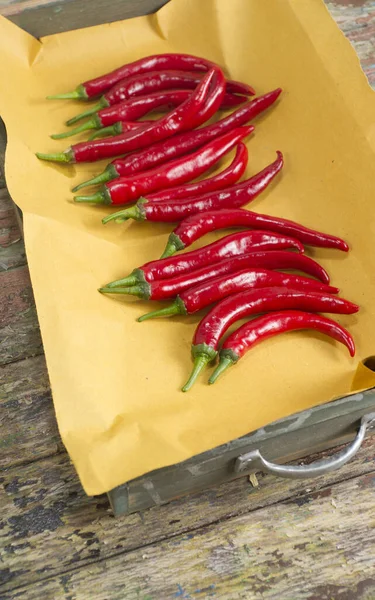 Würzige rote Chilischote — Stockfoto