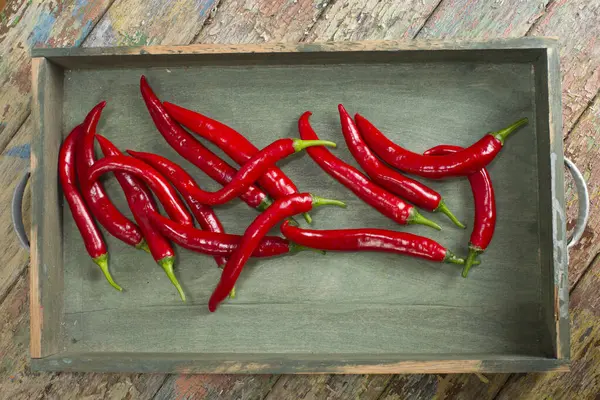 Pikante rode chili peper — Stockfoto