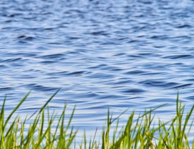 Mavi su ve bulanık yeşil çim doğa arka plan