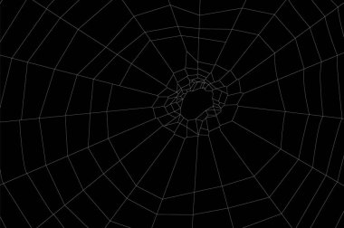 Dairesel örümcek ağı Gösterim amacıyla tasarım ve dekorasyon.