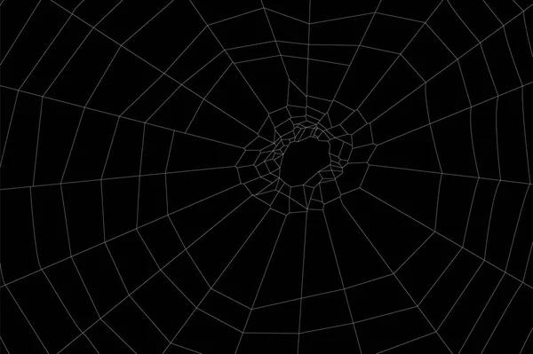 Runde Spinnweben Illustration Für Design Und Dekoration — Stockvektor