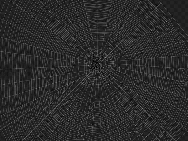 Spider Web Illustrazione Ragnatela Massiccia Rotonda Con Ragno Decorazioni Design — Vettoriale Stock