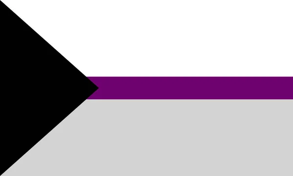 Demiexual Pride Vlajka Jeden Sexuální Menšiny Lgbt Komunity — Stockový vektor