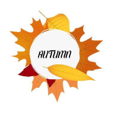 Sonbahar soyut arkaplanı