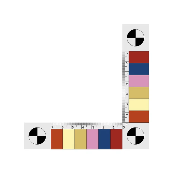 Règle médico-légale avec des échantillons de couleur d'un âge meurtri . — Image vectorielle