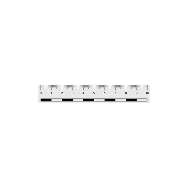 Forensic ruler for the measuring of a crime scene evidence. — Stock Vector