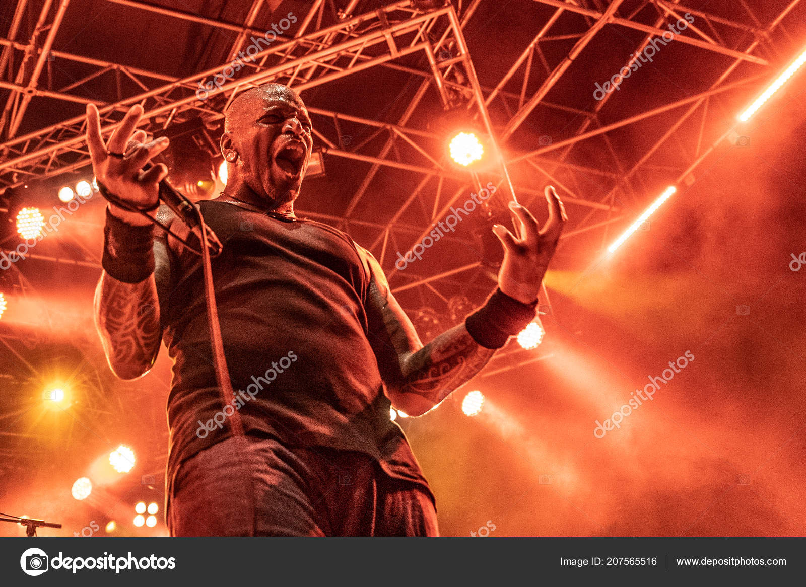 скачать sepultura roots Скачать sepultura arise.