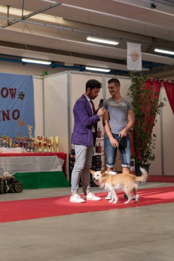 Bergamo, İtalya - 14 Ekim 2018: Chıuduno kasaba safkan köpekler otuz beşinci sergisi gerçekleşti. öğleden sonra oturumu olmayan cins köpekler için özel köpek göstermek Del Bastardino aradı. Brambilla Simone canlı haber fotoğrafçı
