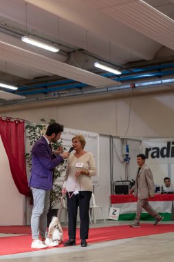Bergamo, İtalya - 14 Ekim 2018: Chıuduno kasaba safkan köpekler otuz beşinci sergisi gerçekleşti. öğleden sonra oturumu olmayan cins köpekler için özel köpek göstermek Del Bastardino aradı. Brambilla Simone canlı haber fotoğrafçı