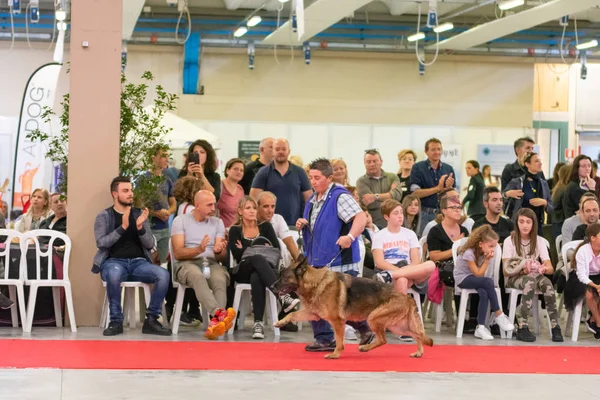 Bergamo Italien Oktober 2018 Der Stadt Chiuduno Fand Die Ausstellung — Stockfoto